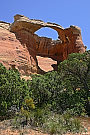 Akiti Arch